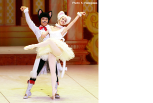 白い猫と長靴をはいた猫