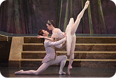 「眠れる森の美女」