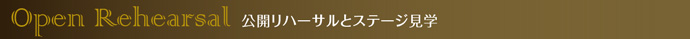 公開リハーサルとステージ見学
